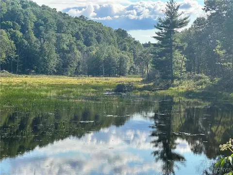 Graham Road, Pitcairn, NY 13648