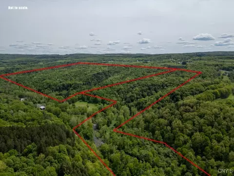 State Rt 168, German Flatts, NY 13407