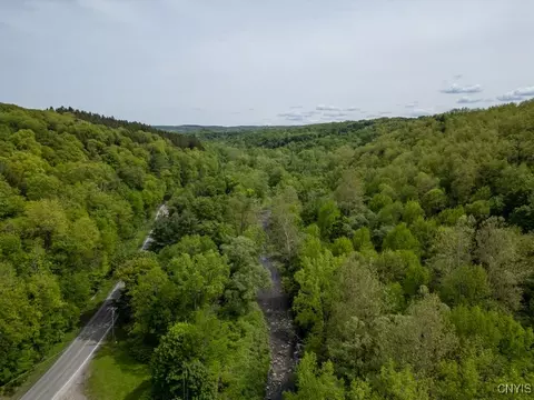 State Rt 168, German Flatts, NY 13407 photo 9