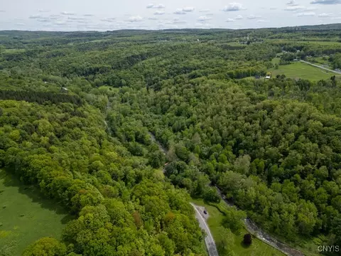 State Rt 168, German Flatts, NY 13407 photo 5