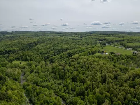 State Rt 168, German Flatts, NY 13407 photo 3