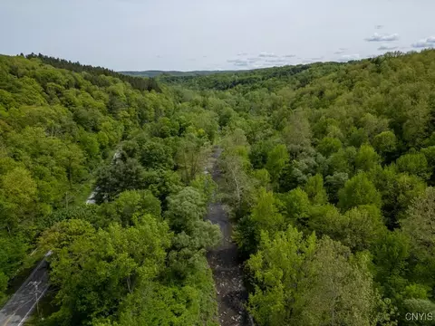State Rt 168, German Flatts, NY 13407 photo 8