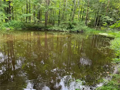 View/Area - 30 Treehaven Rd, Wethersfield, NY 14066 photo 2 of 2