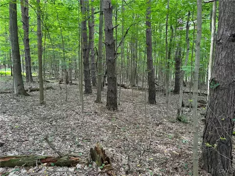 Other - 30 Treehaven Rd, Wethersfield, NY 14066 photo 6 of 8