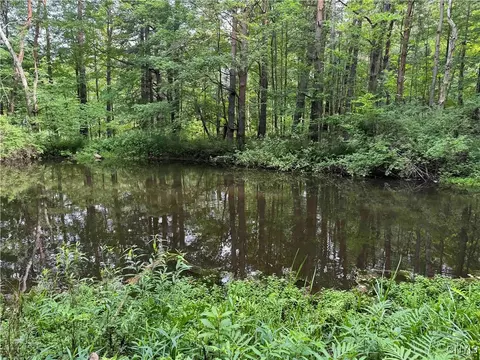 View/Area - 30 Treehaven Rd, Wethersfield, NY 14066 photo 1 of 2