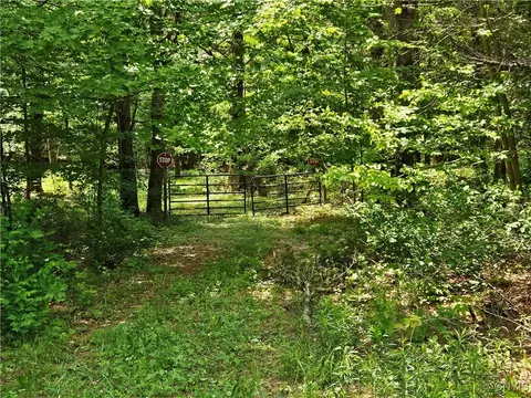 0 S Bonaparte Rd, Diana, NY 13648