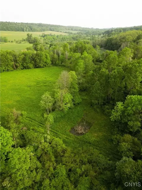 Searls Road, Homer, NY 13045