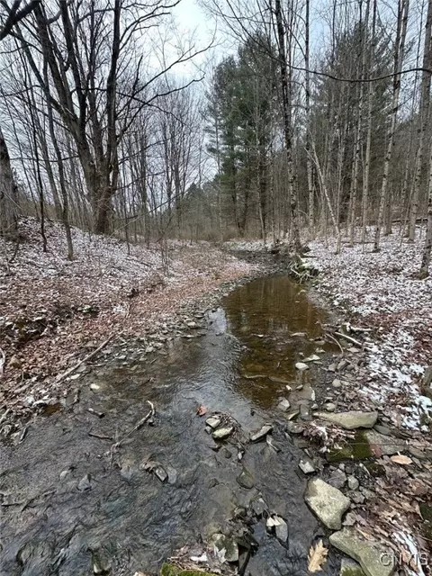 150 Cafferty Rd, Colesville, NY 13760