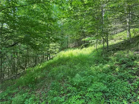 Indian Creek Road, Olean, NY 14760 photo 38