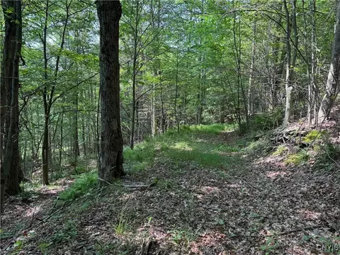 Indian Creek Road, Olean, NY 14760 photo 39