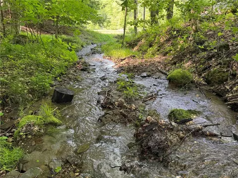 Indian Creek Road, Olean, NY 14760 photo 32