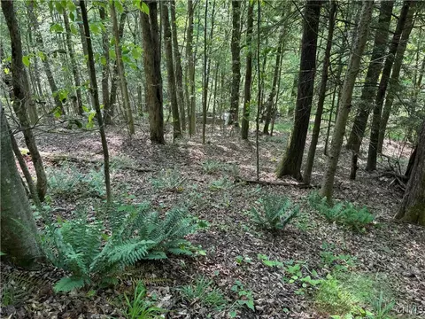 Indian Creek Road, Olean, NY 14760 photo 41
