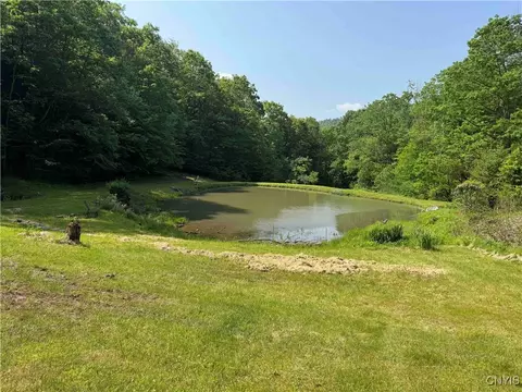 Indian Creek Road, Olean, NY 14760 photo 30
