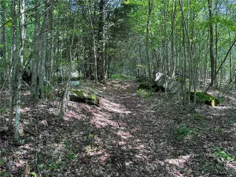 Indian Creek Road, Olean, NY 14760 photo 33