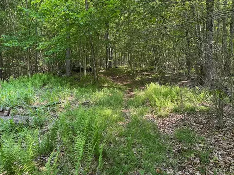 Indian Creek Road, Olean, NY 14760 photo 35