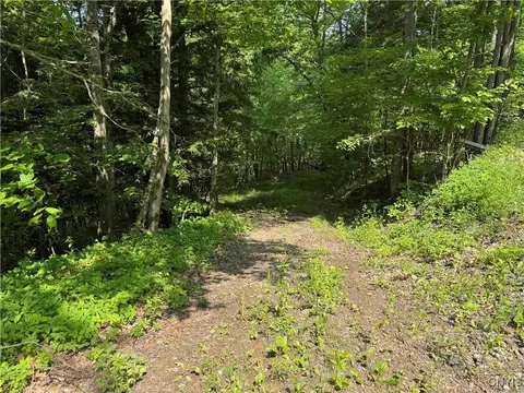 Indian Creek Road, Olean, NY 14760 photo 48