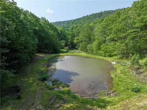 Indian Creek Road, Olean, NY 14760 photo 26