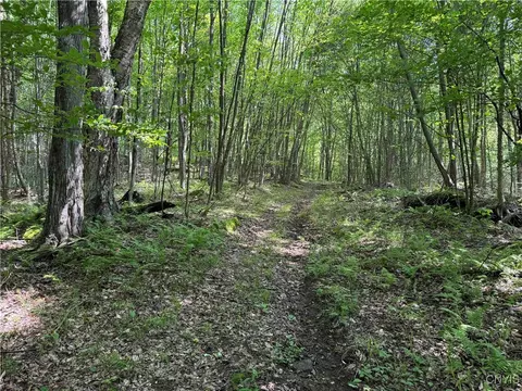 Indian Creek Road, Olean, NY 14760 photo 36