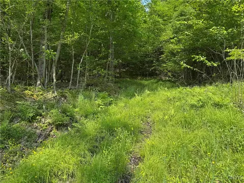 Indian Creek Road, Olean, NY 14760 photo 43