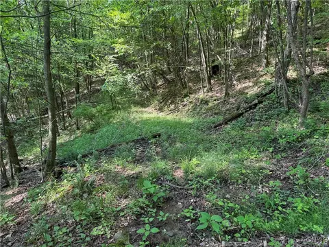 Indian Creek Road, Olean, NY 14760 photo 40