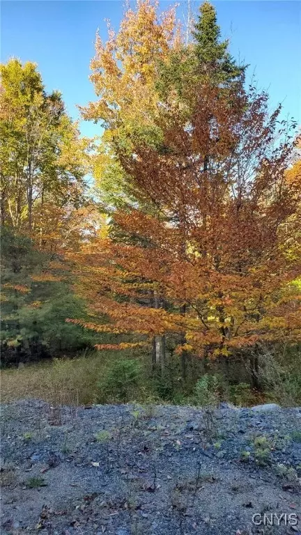 Steinfeldt Lane, Long Lake, NY 12847