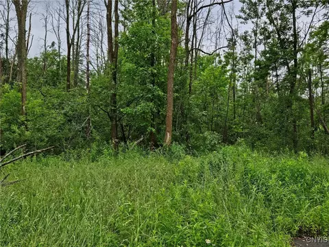 56 Myrtle St, Cazenovia, NY 13035