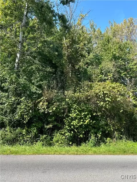 lot2 Beach Rd, Cicero, NY 13029