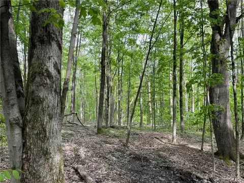 9543 Cream Ridge Rd, Rushford, NY 14777
