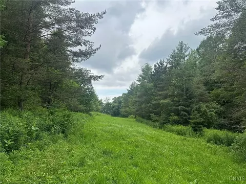 0000 Murphy Rd, Tully, NY 13159 photo 7