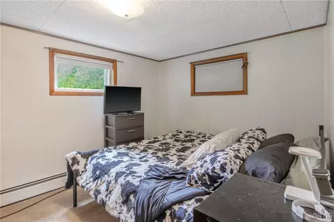 9111 E Mud Lake Rd, Lysander, NY 13027 photo 35