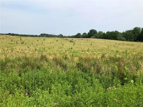 00 Co Rt 53 - Lot #3, Scriba, NY 13126 photo 6