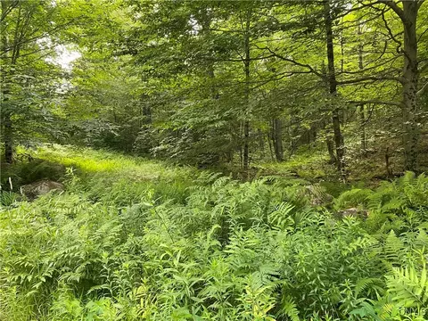 0 State Route 28, Webb, NY 13472