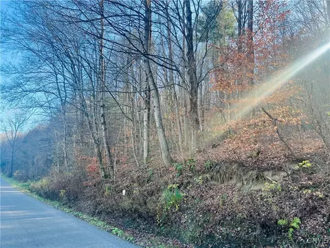 0 W Cheningo Road Rd, Truxton, NY 13158