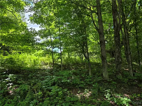 Houseville Gulf Road, Martinsburg, NY 13404