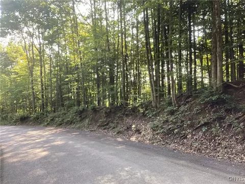 Smith Hill Road, Deerfield, NY 13502