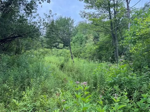 10750 Chapple Stoughton Rd, Napoli, NY 14772