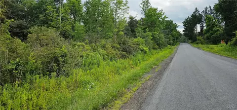Michigan Hollow Road, Danby, NY 14883