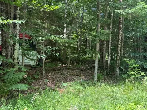 261 Uncas Rd, Inlet, NY 13360