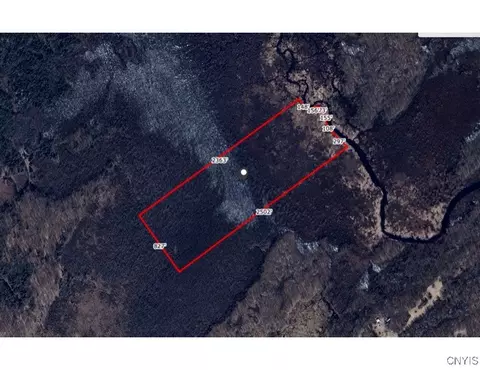 Newcomb Road, De Peyster, NY 13633