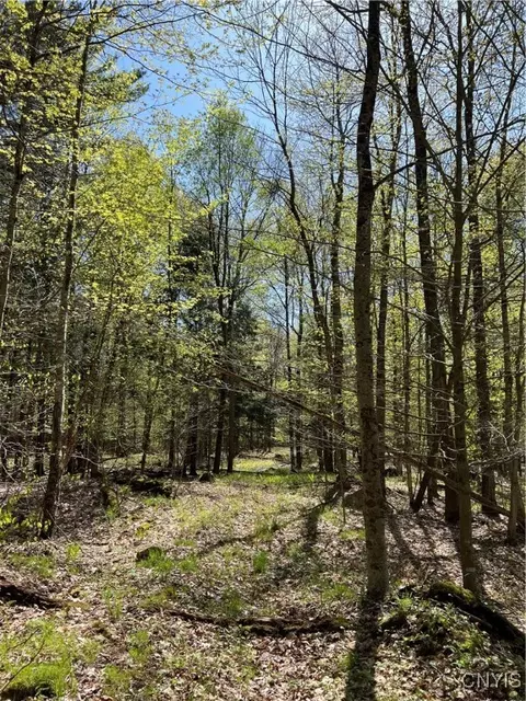 Hemlock Drive, Watson, NY 13367 photo 11