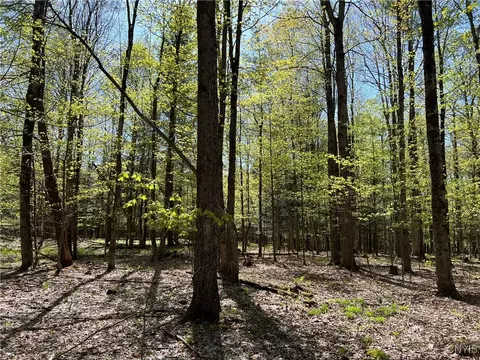 Hemlock Drive, Watson, NY 13367 photo 18