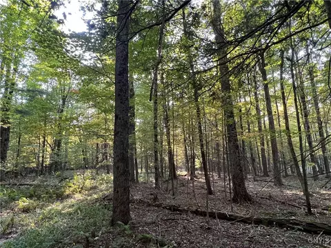 Hemlock Drive, Watson, NY 13367 photo 5