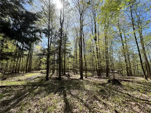 Hemlock Drive, Watson, NY 13367 photo 15