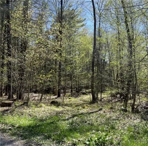 Hemlock Drive, Watson, NY 13367 photo 9