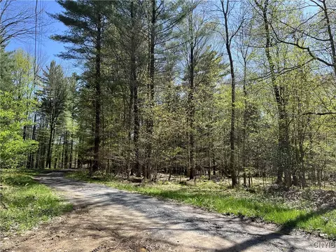 Hemlock Drive, Watson, NY 13367