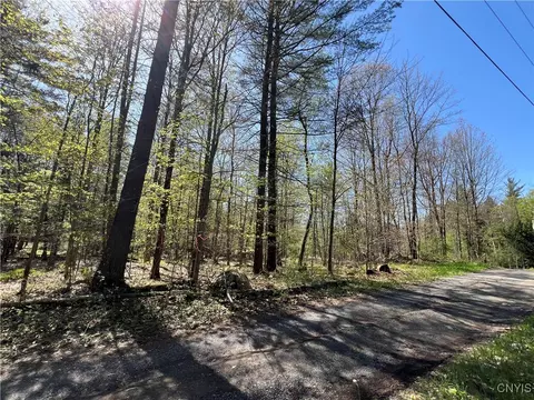 Hemlock Drive, Watson, NY 13367 photo 31