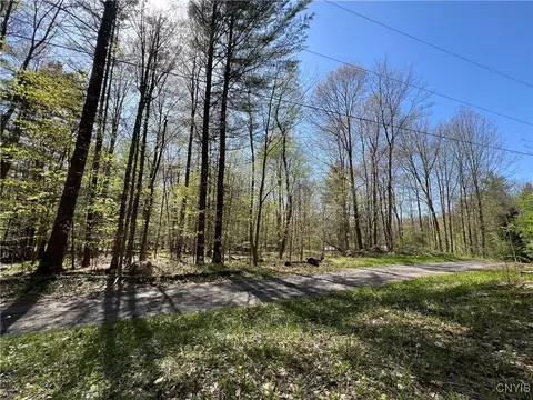 Hemlock Drive, Watson, NY 13367 photo 32