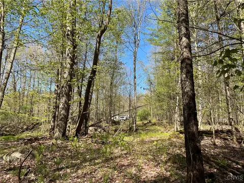 Hemlock Drive, Watson, NY 13367 photo 13