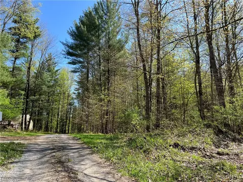 Hemlock Drive, Watson, NY 13367 photo 34