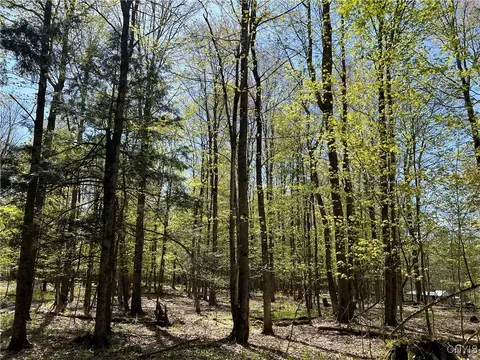 Hemlock Drive, Watson, NY 13367 photo 14